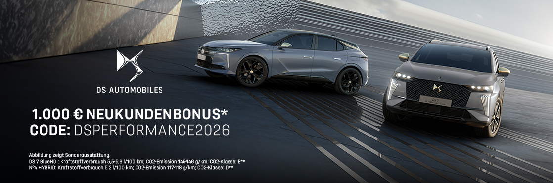 DS PERFORMANCE